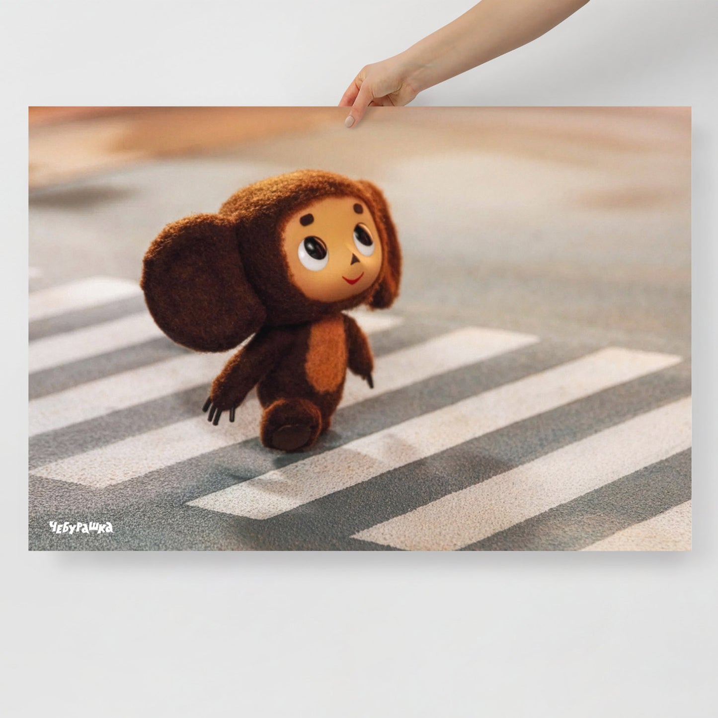 Hand holding large 91x61cm poster with Cheburashka on road zebra crossing. Still frame from old original Soviet cartoon. With logo Чебурашка.