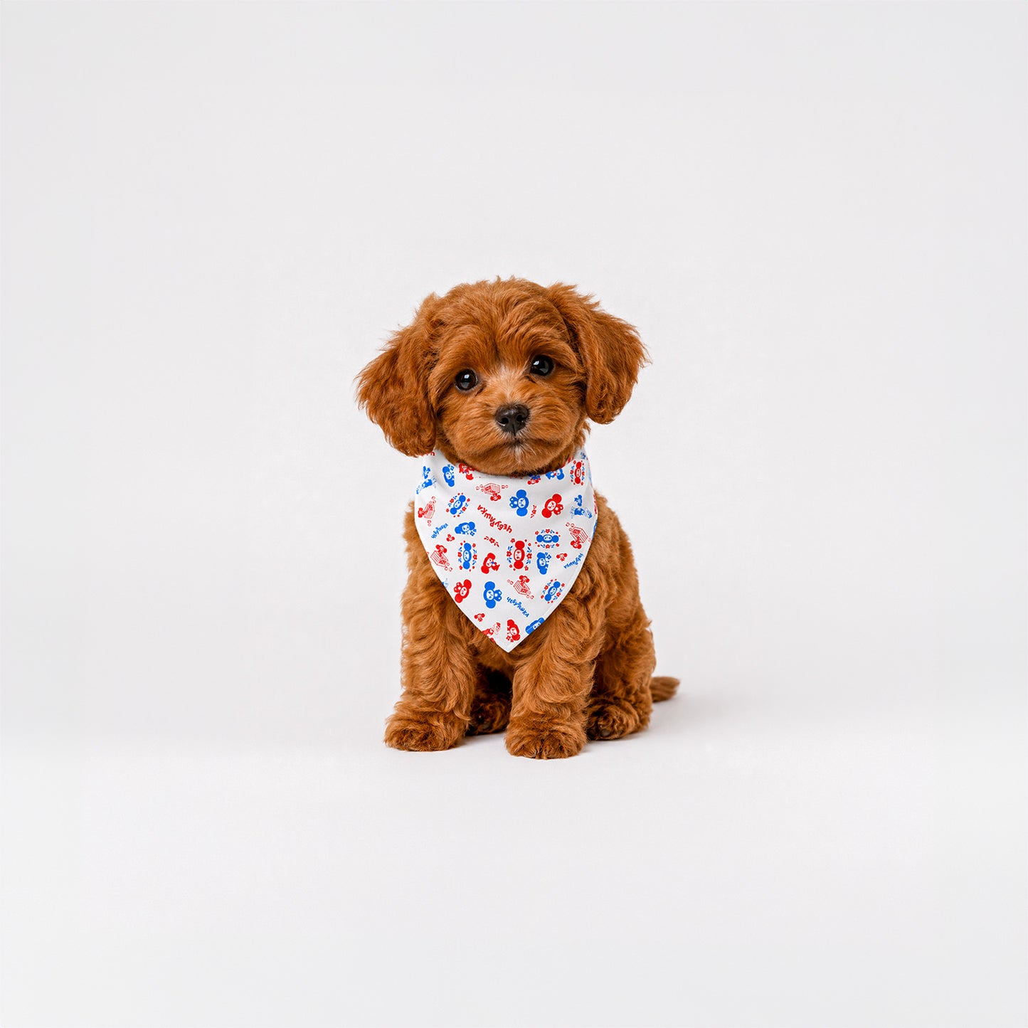 Cute brown puppy called Tobik wearing original Soviet cartoon Cheburashka patterned small size bandana.