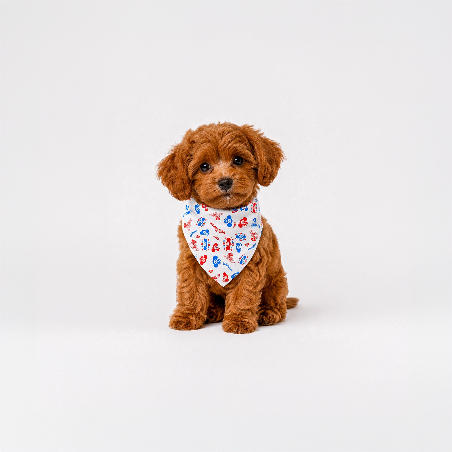 Cute brown puppy called Tobik wearing original Soviet cartoon Cheburashka patterned small size bandana.